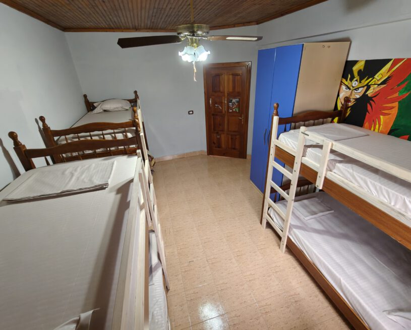 Bed in 6-Bed Mixed Dormitory Room
